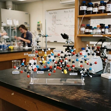 What Are Peptides? A Research Overview