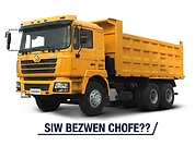 **Chofè Kamyon Pwofesyonèl