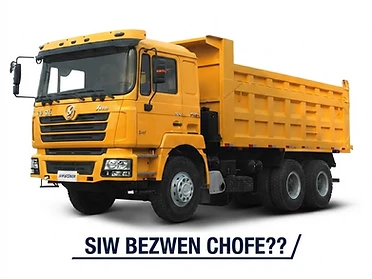 **Chofè Kamyon Pwofesyonèl