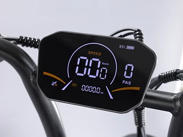 SLEDZ EVO GPS colour display detail