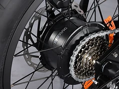 SLEDZ EVO Bafang rear hub motor and drivetrain detail