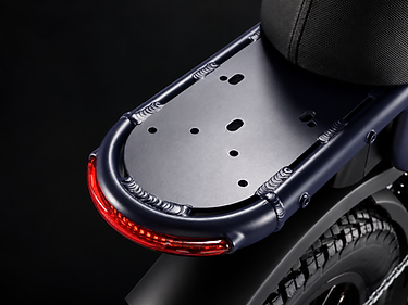SLEDZ EVO integrated rear tail light and indicator detail