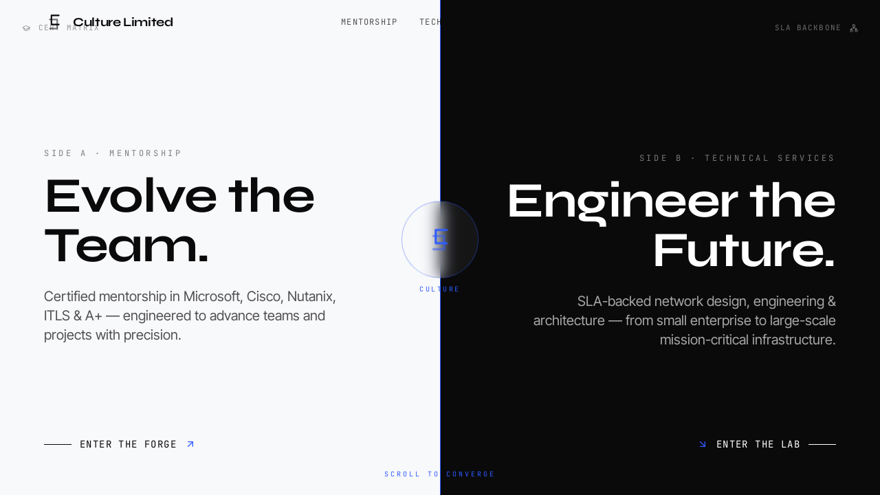 CL WebSite template preview