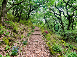Where the path leads
