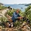 Tides of Terroir: Navigating the Adriatic’s Sun-Drenched Vineyards