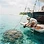 Coral Guardians: Anchoring With Care in the Rodrigues Shallows