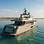 Currents of Glass: Electric Silence in the Abu Dhabi Shallows