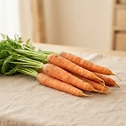 Carottes fraîches