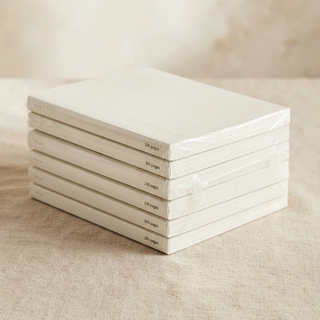 Pack cahiers (10)