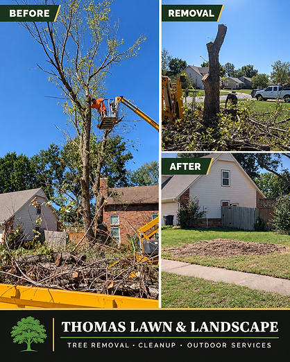 Tree removal before, removal, and after in Owasso, OK - Thomas Lawn and Landscape bucket truck removing a tall tree and leaving only wood chips