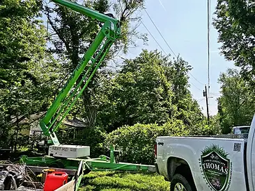 Tree Removal in Tulsa, OK - Thomas Lawn and Landscape