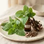 Patchouli (Verde)
