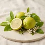 Limetta