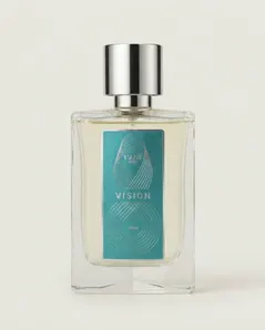 Vision
