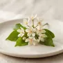 Flor de Pão