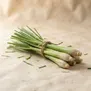 Capim-limão