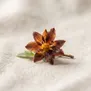 Flor de Chocolate