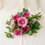 Malva Rosa