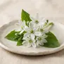 Fior di Latte