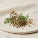 Sementes de Cenoura
