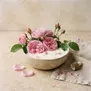 Leite de rosas