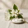 Creme para Mãos