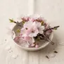 Flor de Cereja