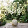 Tuberosa
