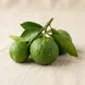 Tangerina Verde