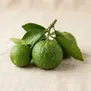 Tangerina Verde