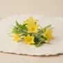 Flor de Pepino