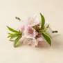 Flor de Nectarina