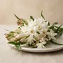 Flores Brancas