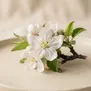 Flor de Macieira