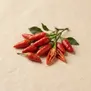 Pimenta Malagueta