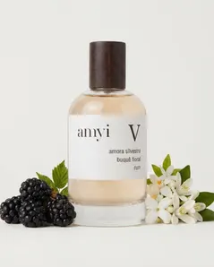 Amyi V
