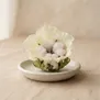 Flor de Algodão