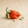 Pimenta Fantasma