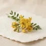 Flor de Sophora Toromiro
