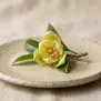 Flor Lamduan