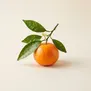 Mandarina