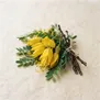 Kowhai