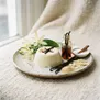 Panacotta