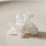 Bolhas de refrigerante