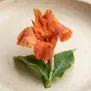 Flor de Cana