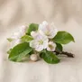 Flor do Pomar
