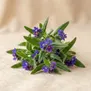 Gromwell