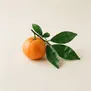Tangerina