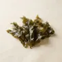 Laminaria