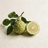 Bergamota